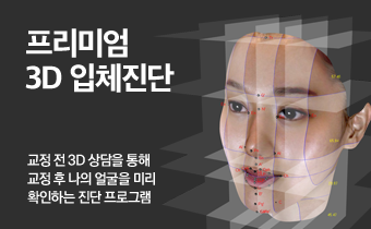 프리미엄 3D 입체진단